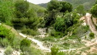 Landgut  Camino partida foyetes. Parcela amplia en venta en finca la moralecha