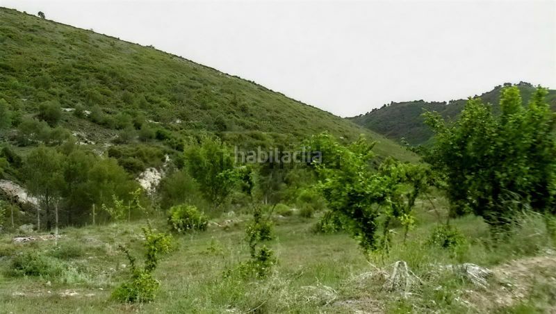 Foto b302c00a-9dd9-48fc-b0e7-76b8a172a787. Finca rústica a Onil