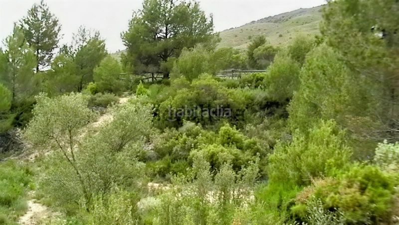 Foto dafefd57-5c5d-4bb2-bd3e-1b0081c75ab5. Finca rústica a Onil