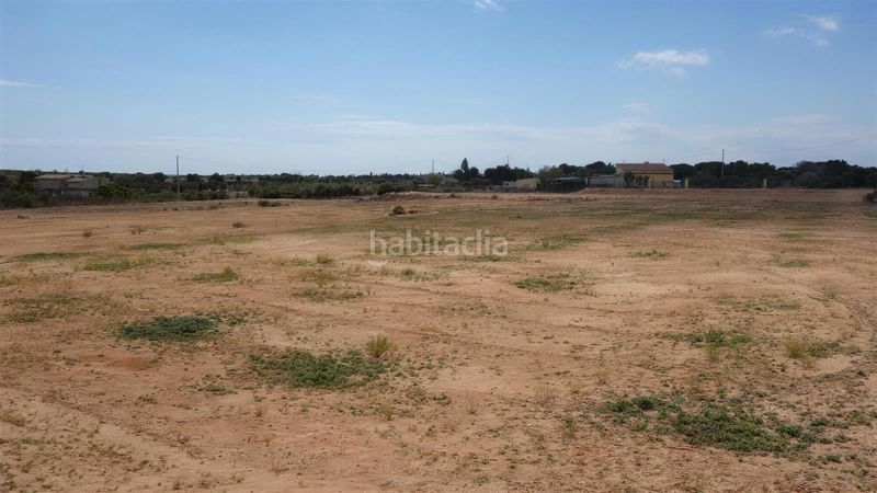 Foto 0b324dab-13d7-4843-910e-4daad6f8f62e. Finca rústica a Torrellano Elche / Elx
