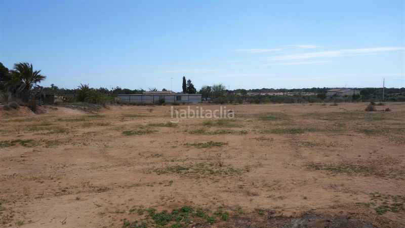 Foto 36badb9d-e576-48c0-bbaa-58c8c631db2e. Finca rústica a Torrellano Elche / Elx