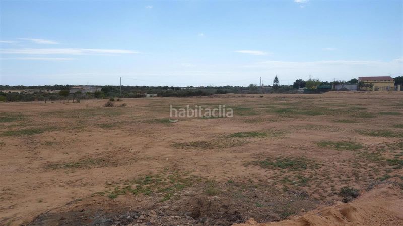 Foto 46a5fce5-47aa-43de-b679-fbd09a889564. Finca rústica a Torrellano Elche / Elx
