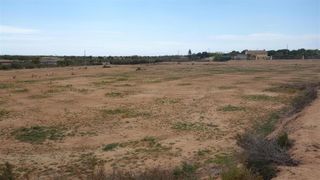 Landgut  Avenida de l"altet. Oportunidad terreno para chalet en torrellano