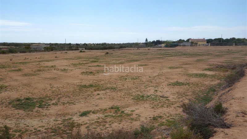 Foto 523ea41c-1e84-4bd4-b20d-2439101f9edb. Finca rústica a Torrellano Elche / Elx