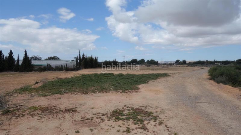 Foto 83e37b36-143a-4f60-b9ae-93659806f75e. Finca rústica a Torrellano Elche / Elx