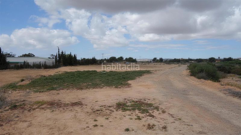 Foto a737ca3a-7d4a-49eb-86a9-6446536b1892. Finca rústica a Torrellano Elche / Elx