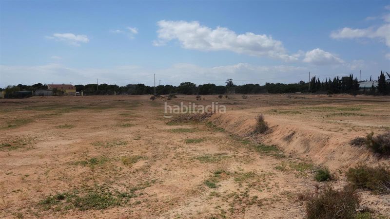 Foto b1aee9ba-6670-42ef-8a5c-5d0a214dc2db. Finca rústica a Torrellano Elche / Elx