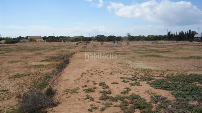 Foto b5ff8ee5-ab88-4d42-b3ef-0858ffb04e51. Finca rústica a Torrellano Elche / Elx