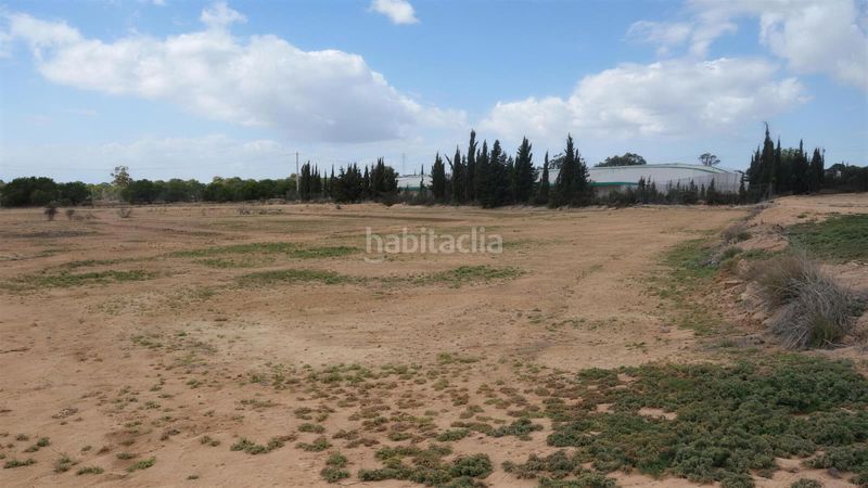 Foto cdec8ac7-a4f8-40c6-95c7-2026c46599de. Finca rústica a Torrellano Elche / Elx