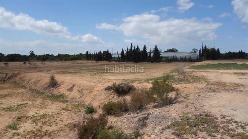 Foto e32bd7d1-f19d-43d5-a232-c258be1084a3. Finca rústica a Torrellano Elche / Elx
