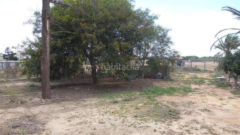 Foto e944b3c2-d8ce-4104-b1a5-f0757064ad1e. Finca rústica a Torrellano Elche / Elx