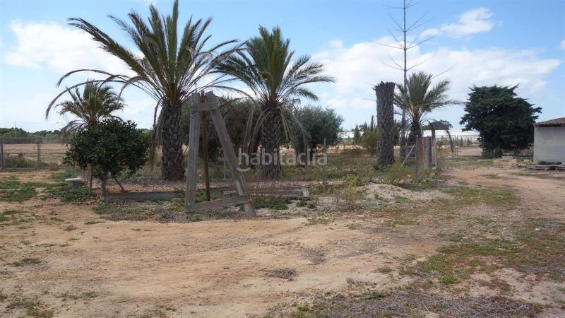 Foto f7fb67a6-10c3-4f03-a7e6-05ad7f4bbce7. Finca rústica a Torrellano Elche / Elx