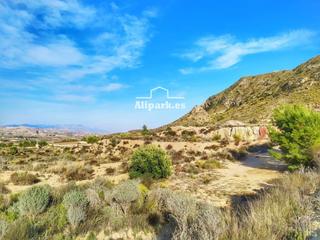 Propriété  Sol de camp. Vendo parcela en partida del sol del camp  agost  alicante