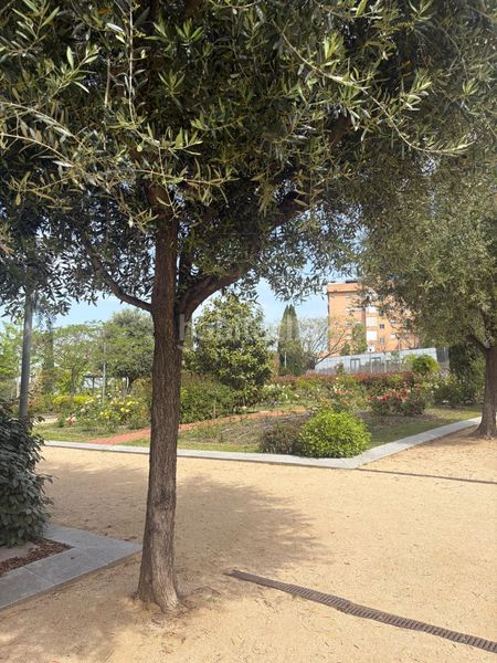 Foto 6f7b0106-ff62-4600-b5a3-0cfbb70f87b3. Dúplex amb calefacció aparcament a Les Grases Sant Feliu de Llobregat