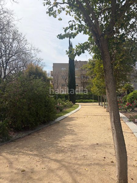 Foto 9fb6f85e-8e68-4a3c-9828-3cb7c14aa746. Dúplex amb calefacció aparcament a Les Grases Sant Feliu de Llobregat