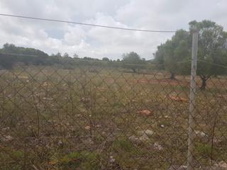 Finca rústica a Manacor Centre. Terreno con licencia y proyecto aprobado