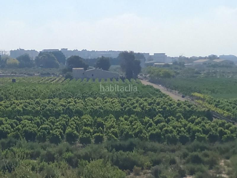 Foto 55aea6bc-43fb-427f-a114-54bd86cc4eb0. Landgut in La Algoda - Matola - Llano de San José Elche / Elx