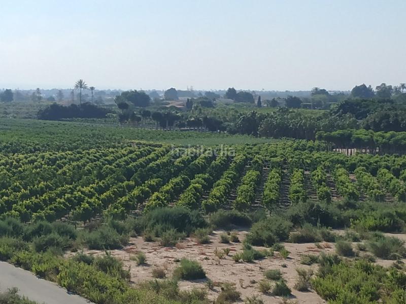 Foto d6733fb8-e8a0-440c-9d73-00dcc013f814. Landgut in La Algoda - Matola - Llano de San José Elche / Elx