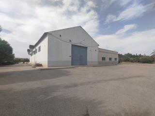 Rent Industrial building in Valverde. Nave industrial en torrellano bajo