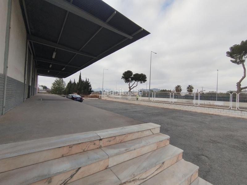 Foto 1a8a6d26-30d0-4668-b3e6-997b97b4b65f. Bâtiment à usage industriel dans El Castillo Aspe