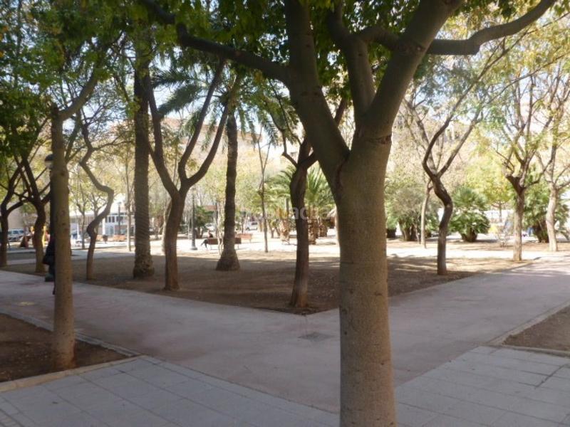 Foto 02738b4a-5865-4d58-8cf5-142c3250d57e. Location local commercial dans Ciutat Esportiva Elche / Elx