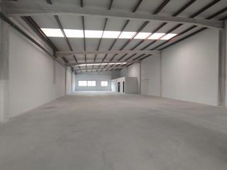 Rent Industrial building in La Algoda - Matola - Llano de San José. Nave poligono elche 1044 m2