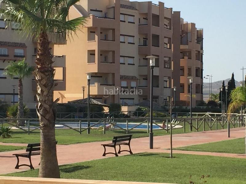 Foto 320ee217-914d-4cf9-8657-475e6080f79a. Planta baja venta de apartamento en planta baja, Gea y Truyols en Murcia