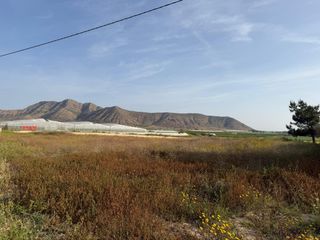 Rural plot in Torre-Pacheco. Gran oportunidad! terreno de regadío en torre pacheco