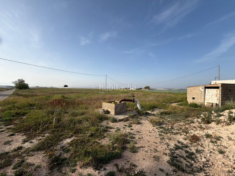Foto 2a317b61-d72e-4b48-8450-85620484f1d6. Finca rústica a Torre-Pacheco Torre - Pacheco