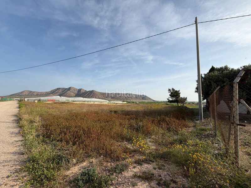 Foto 4ca2c564-68f0-4a5c-bf51-cf1eb0084a82. Finca rústica a Torre-Pacheco Torre - Pacheco