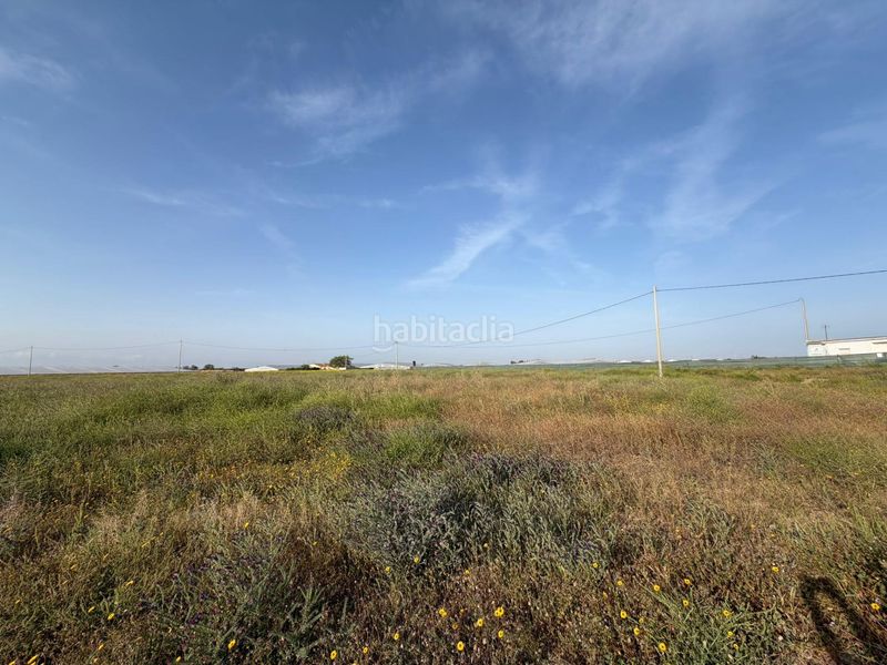 Foto a3e1f775-c5d1-4ac2-ad53-9e2f4051c3ec. Finca rústica a Torre-Pacheco Torre - Pacheco