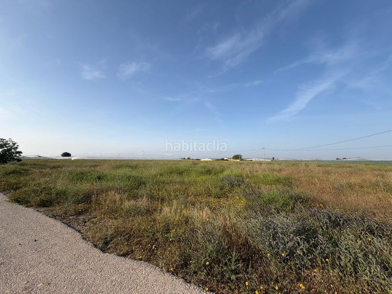 Foto c63d24ea-6315-401a-9b47-ee7282fd2b3f. Finca rústica a Torre-Pacheco Torre - Pacheco