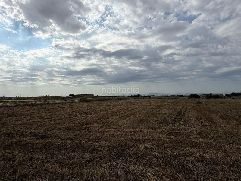 Foto 0867b834-4fdd-4a0a-bb19-678c74aefe44. Finca rústica a Roldán Torre - Pacheco