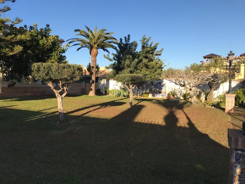 Foto e82b263c-b869-4d80-9fec-bbd86b8d82c0. Chalet venta de chalet en Cabo Roig en Cabo Roig Orihuela