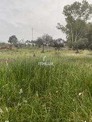 Finca rústica  Parcela  .paraje el venero. Finca rústica de 9.200m en el polígono venero mérida, con 2 pozo