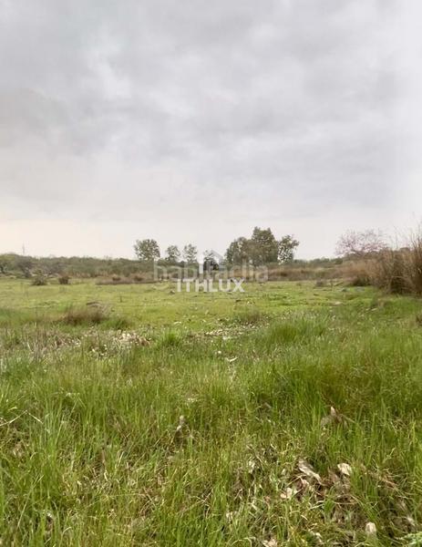 Foto 386b6cb2-1d2f-420a-b394-0e8cb92698ba. Fondo rustico in Casco Antiguo Badajoz