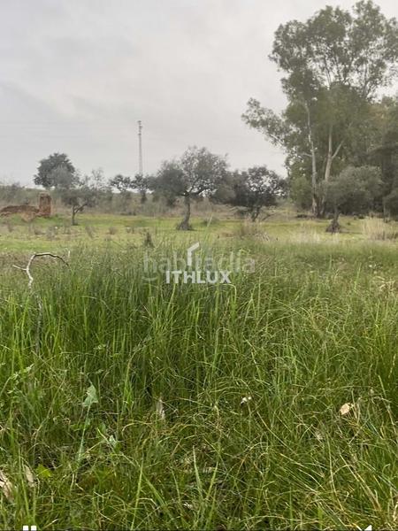 Foto 791b2d4b-5a55-454f-89f2-48dcc83c3430. Fondo rustico in Casco Antiguo Badajoz