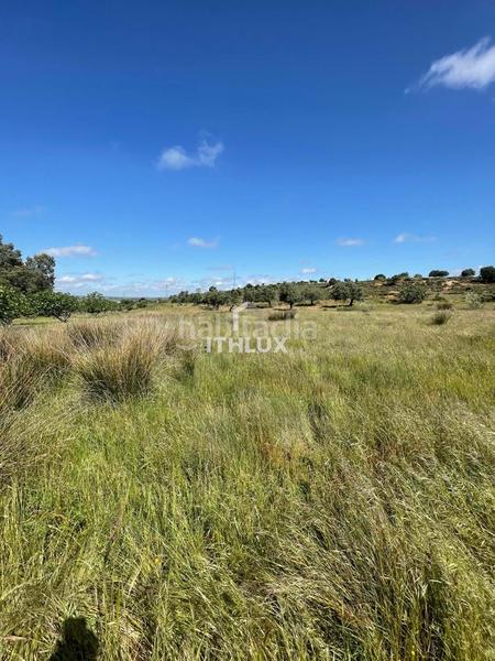 Foto 8f341063-9a2b-4bf1-b92f-94cfce013819. Fondo rustico in Casco Antiguo Badajoz