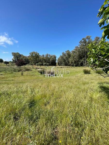 Foto c187e273-e3d7-474e-8ea4-f2e09f82a127. Fondo rustico in Casco Antiguo Badajoz