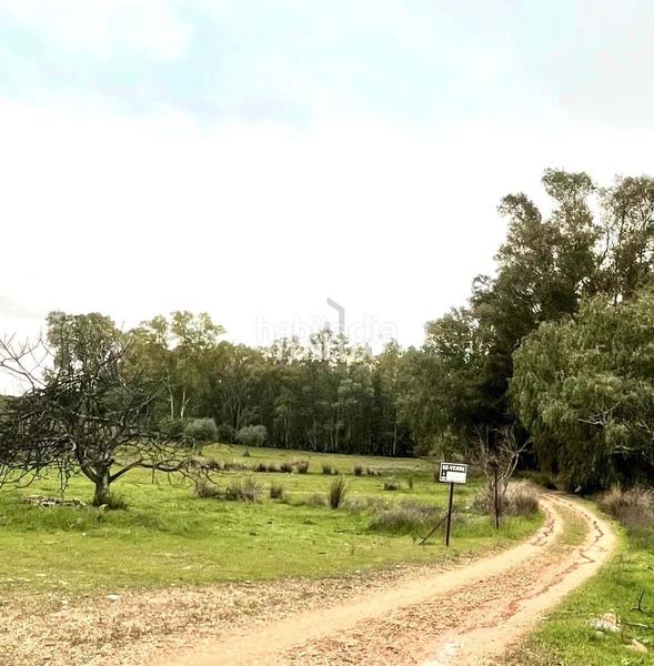 Foto c3721222-f7fd-4503-9695-fdb38a547927. Fondo rustico in Casco Antiguo Badajoz