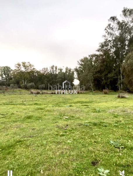 Foto e6050038-1b54-4168-ac44-398103e37dbc. Fondo rustico in Casco Antiguo Badajoz