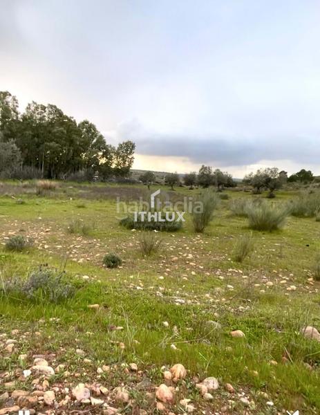 Foto ea2b6252-831b-42ca-8254-71304ef084aa. Fondo rustico in Casco Antiguo Badajoz