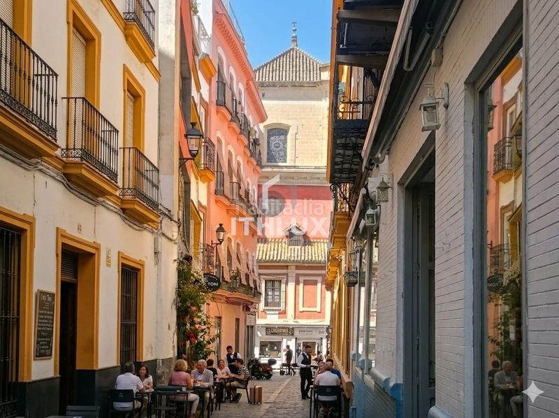 Foto 2d60fc37-d2cd-48f3-86c6-721f225ebdf6. Pis a Alfalfa - Santa Cruz Sevilla