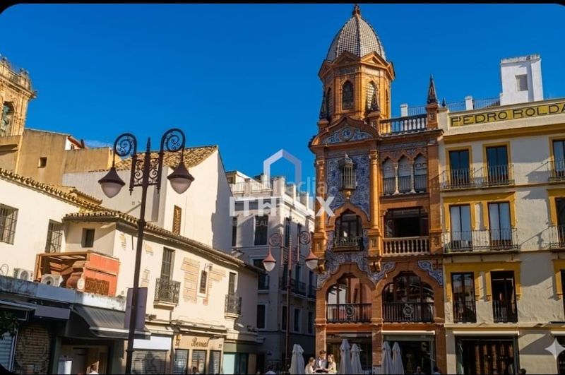 Foto 7033cb25-7394-4669-b71f-23c55bef79b3. Pis a Alfalfa - Santa Cruz Sevilla