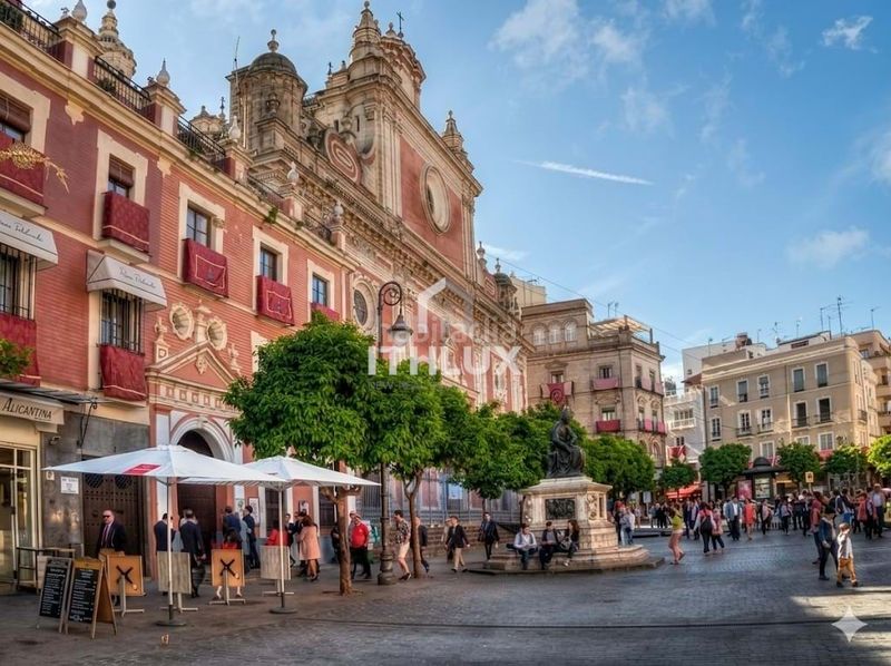 Foto 85e6d61a-0096-433d-baa8-4d6f030303d9. Pis a Alfalfa - Santa Cruz Sevilla