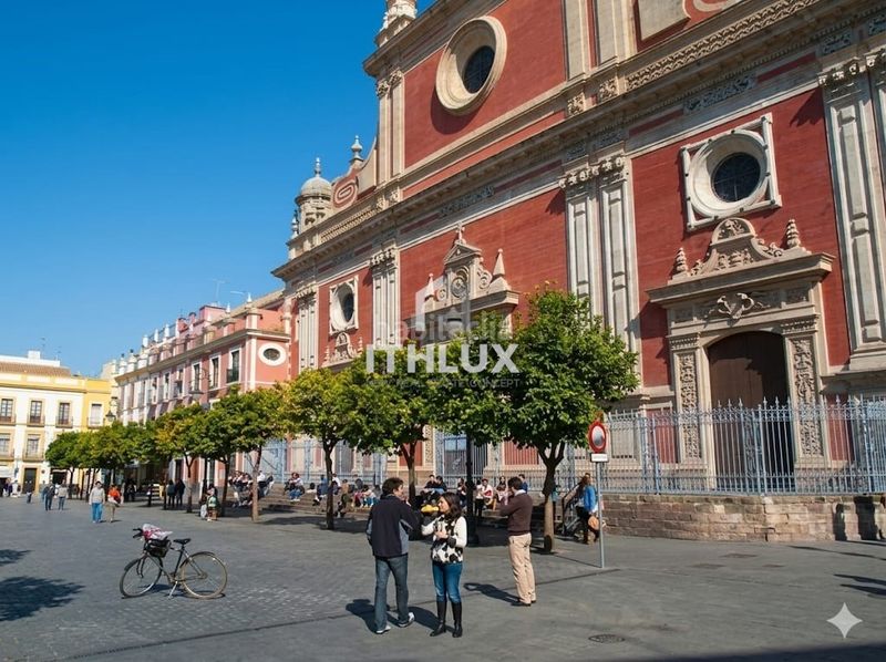 Foto 4cbb8847-1651-4ff1-835d-2e148ba910e4. Pis a Alfalfa - Santa Cruz Sevilla