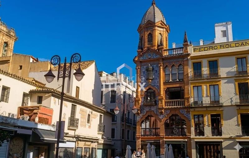 Foto 5fcbb0ae-ba4f-41ae-8adf-626f645aa18f. Pis a Alfalfa - Santa Cruz Sevilla