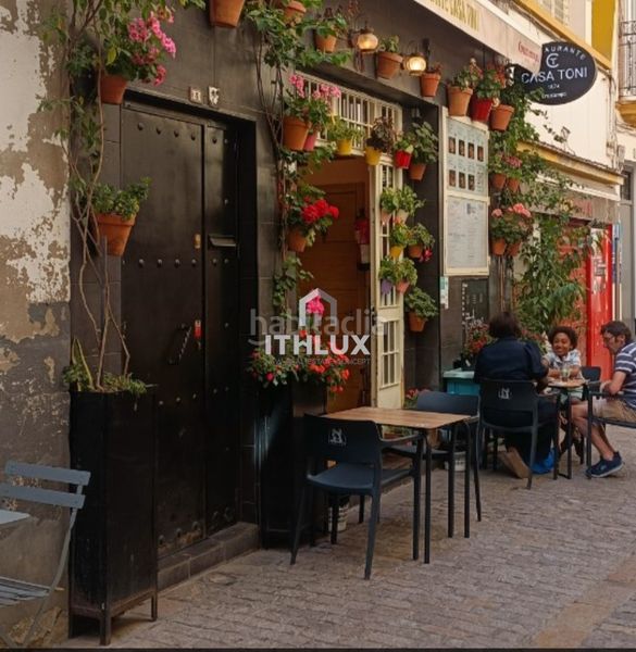 Foto dcc4e68b-58a2-4762-85e7-ea203a069df4. Pis a Alfalfa - Santa Cruz Sevilla