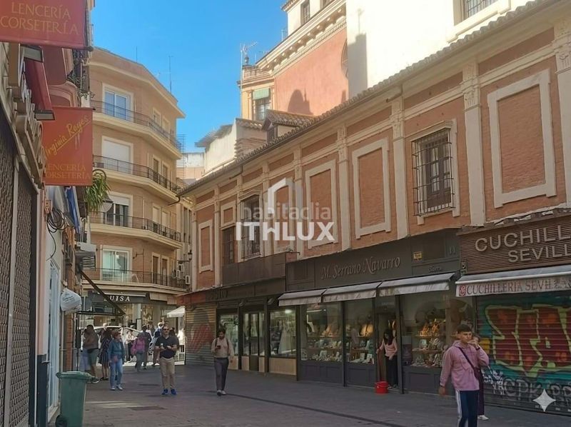 Foto f51bef8a-937f-47b8-8b94-1d7f15cb0484. Pis a Alfalfa - Santa Cruz Sevilla