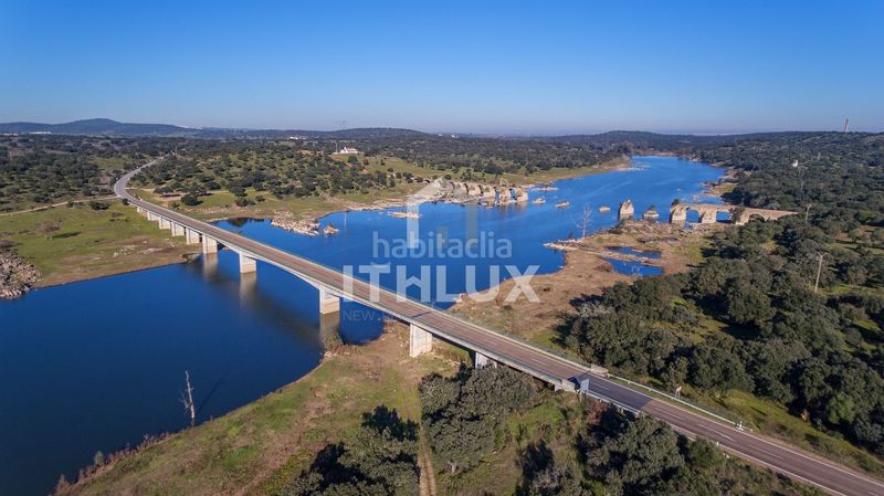 Foto 4af79c3a-51ff-4e21-8ee5-9578cc797017. Pis a Olivenza
